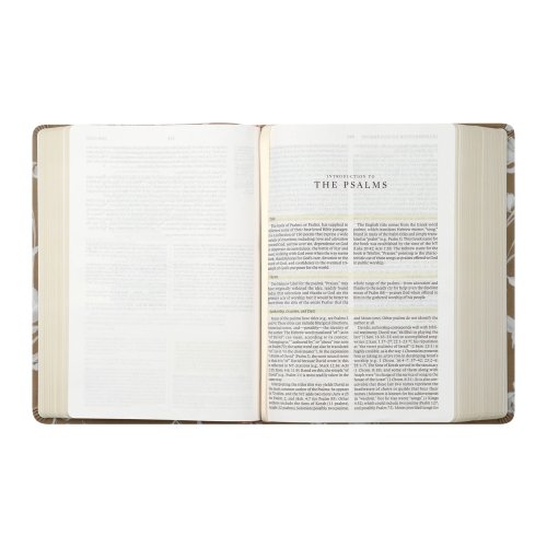 ESV Study Bible: Manila Theme
