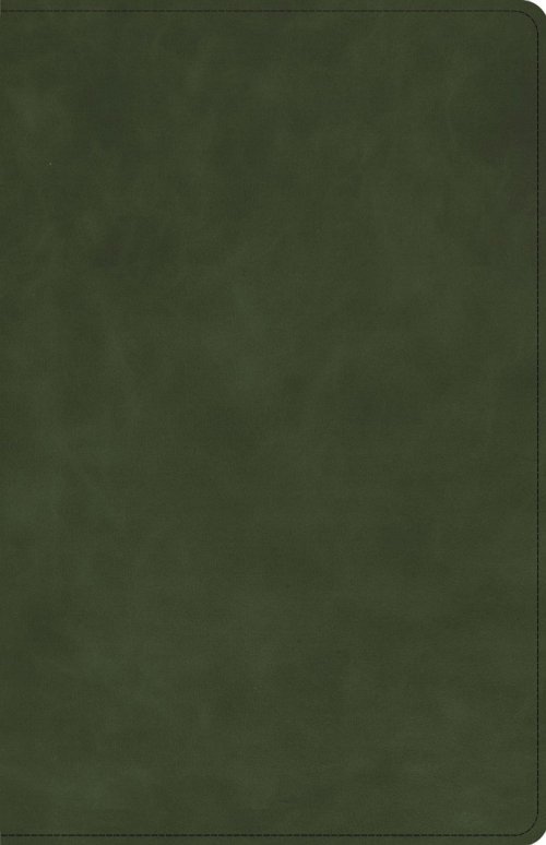 CSB Large Print Personal Size Reference Bible, Olive