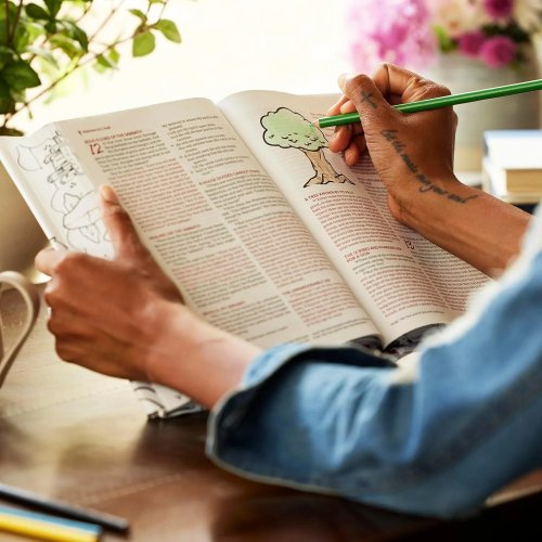 The Sketchbook Bible: The Complete Bible with Hundreds of Illustrations (NKJV, Brown Leathersoft, Red Letter, Comfort Print)
