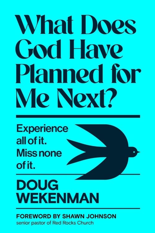 What Does God Have Planned for Me Next?