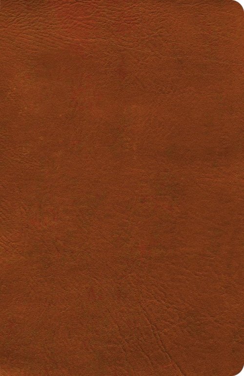 NASB Verse-by-Verse Reference Bible, Burnt Sienna