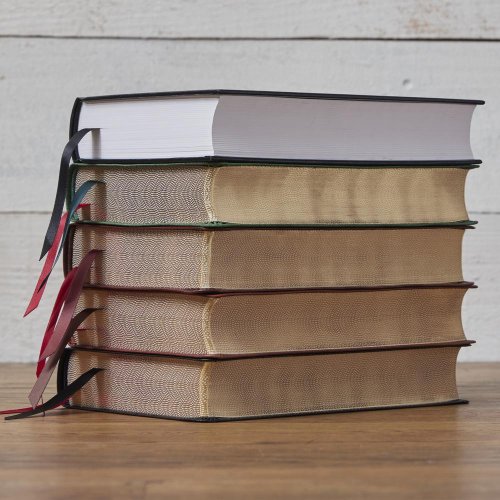 NKJV, Single-Column Reference Bible, Verse-by-verse, Red Letter, Comfort Print