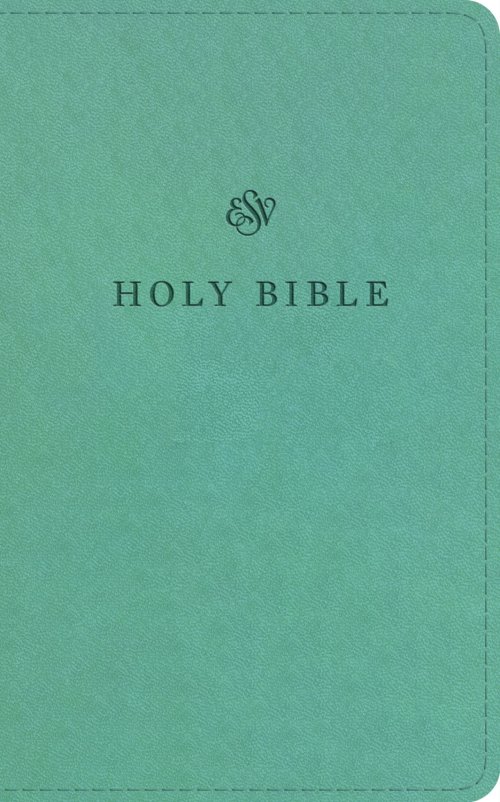 ESV Premium Church Bible (TruTone, Paris Sky)