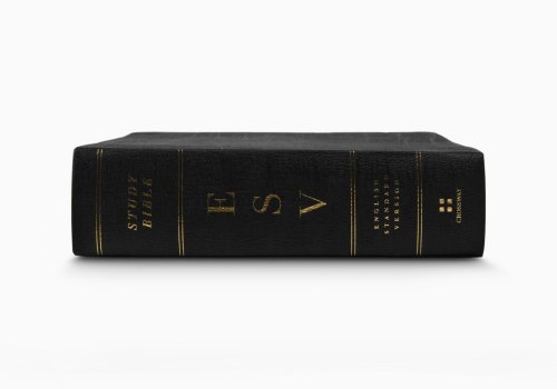 ESV Study Bible, Personal Size Genuine Leather, Black