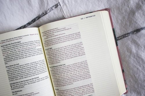 NIV, Artisan Collection Bible, Large Print, Leathersoft, Sage Floral, Red Letter, Comfort Print
