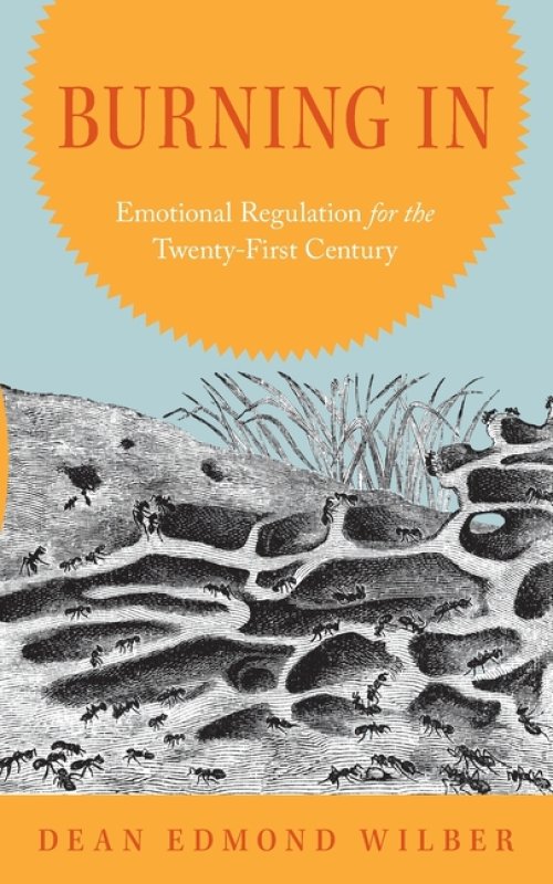 Burning In: Emotion Regulation for the Twenty-First Century
