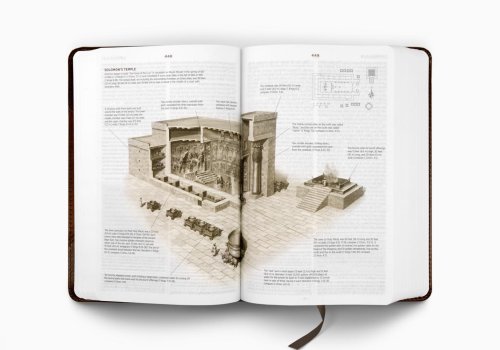 ESV Student Study Bible (TruTone, Brown/Cordovan, Portfolio Design)