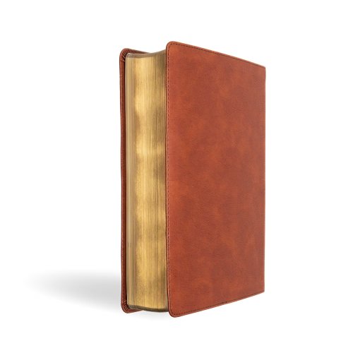 NASB Study Bible, Burnt Sienna Leathertouch