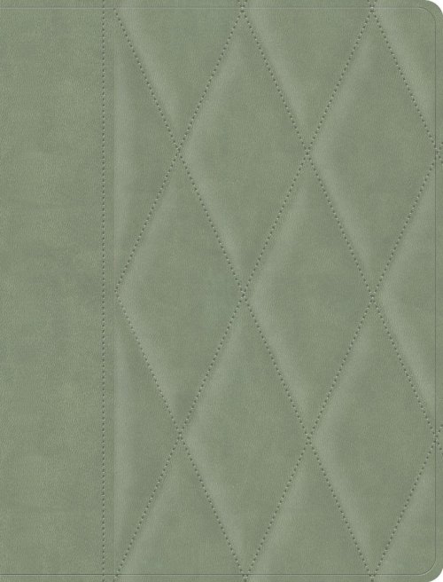 CSB Notetaking Bible, Large Print Edition, Sage Suedesoft