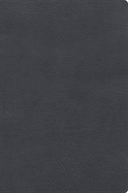 RVR 1960 Biblia De Estudio Letra Gigante, Gris, Símil Piel