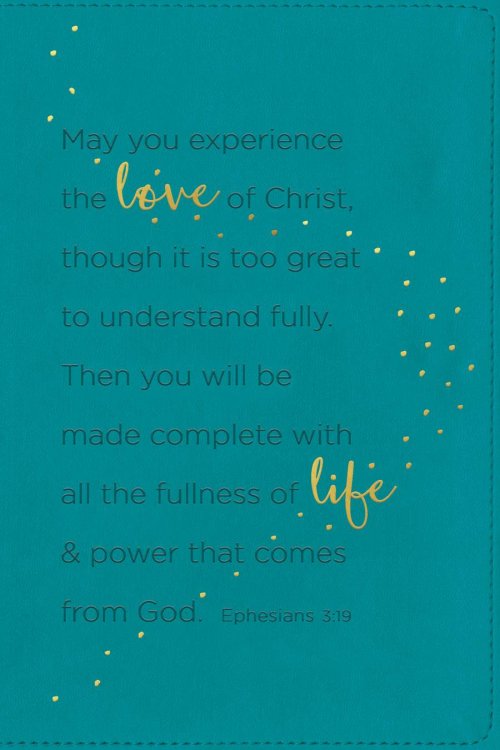 NLT Teen Life Application Study Bible