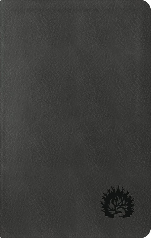La Biblia de Estudio de La Reforma, Edición Condensada, Charcoal