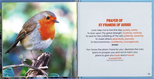 Abundant Blessings