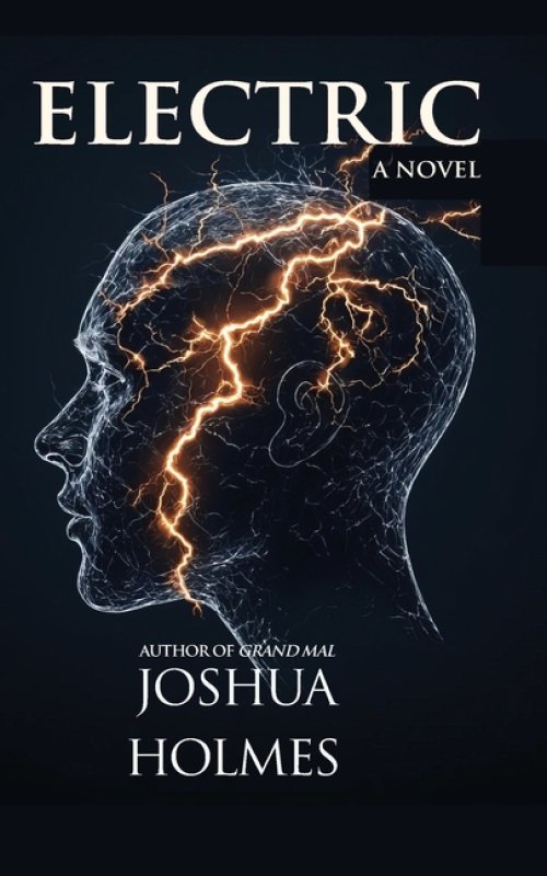 Electric: A Novel