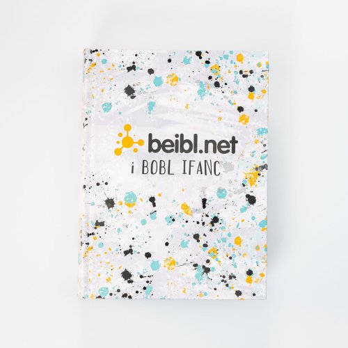 Beibl.net (Welsh Youth Bible)