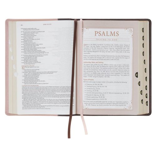 NLT, The Spiritual Growth Bible Faux Leather, Two-tone Pink and Brown