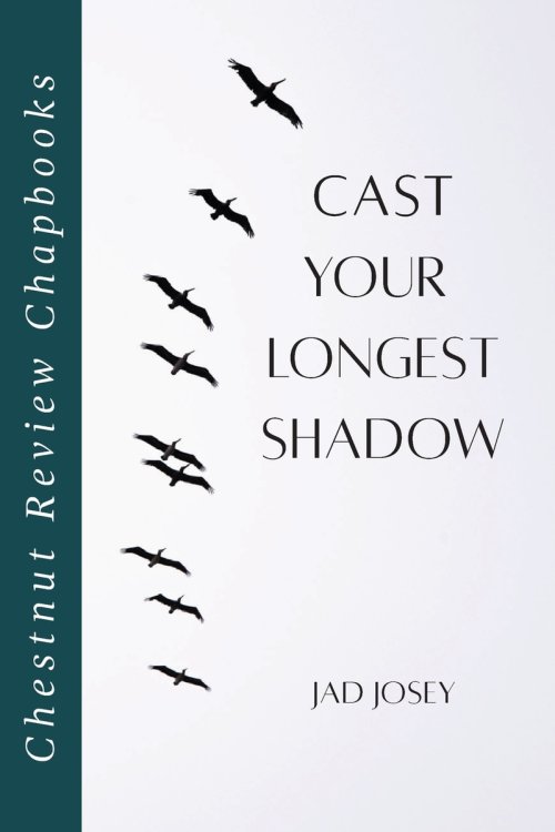 Cast Your Longest Shadow