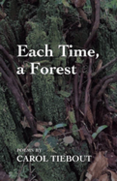 Each Time, a Forest