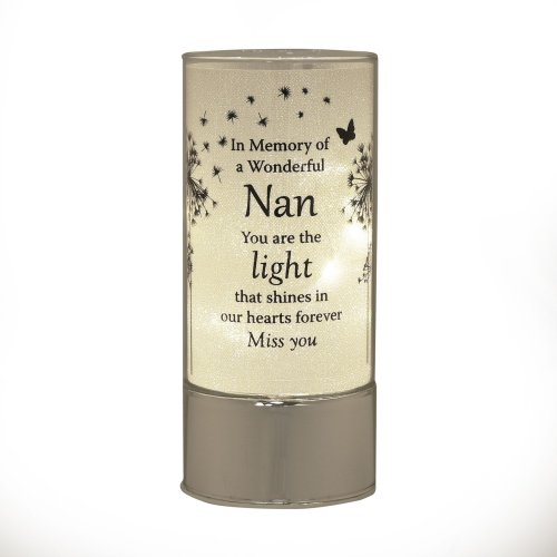 Thoughts of You Tube Light - Nan