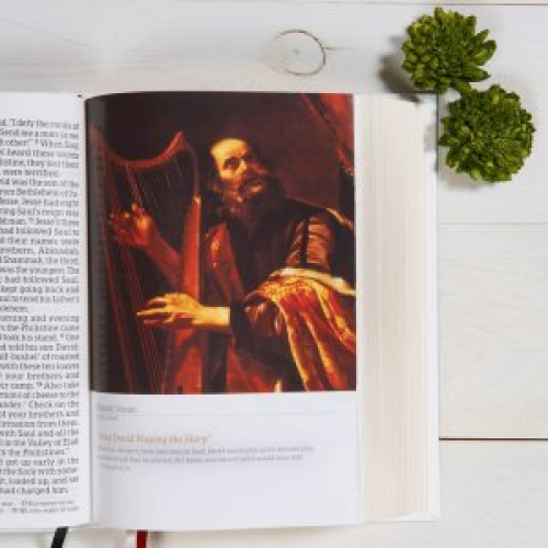 CSB Family Bible, White LeatherTouch Over Board