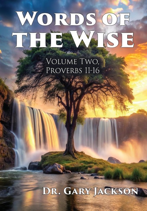 Words of the Wise: Volume Two, Proverbs 11-16