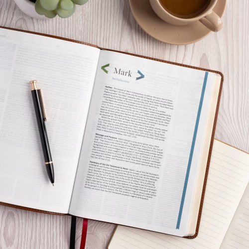 CSB Connecting Scripture New Testament, Brown LeatherTouch