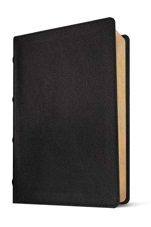 NLT Select Large Print Thinline Reference Bible, Filament Enabled (Goatskin Leather, Black, Red Letter)