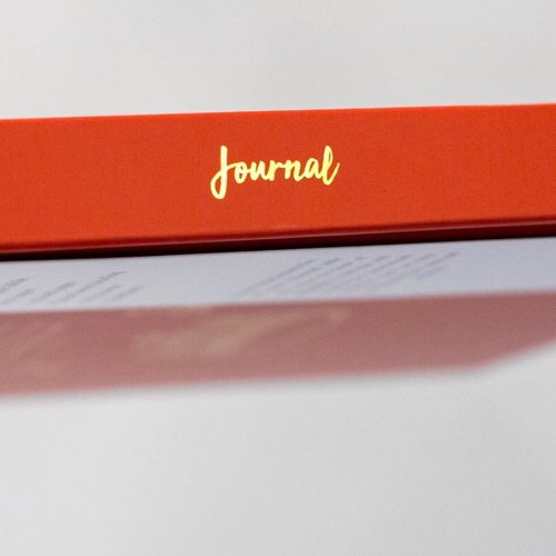Unique Illustrated Journal