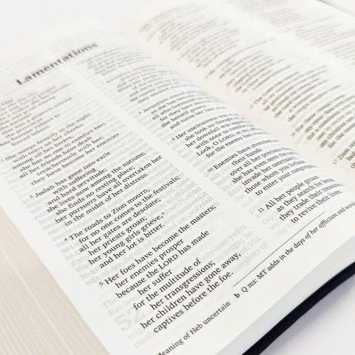 NRSVue Holy Bible, Navy Flexiback, Debossed Detail, Silver Ribbon Marker, British Text, NRSVue New Revised Standard Version Updated Edition, Flexiback, Personal size