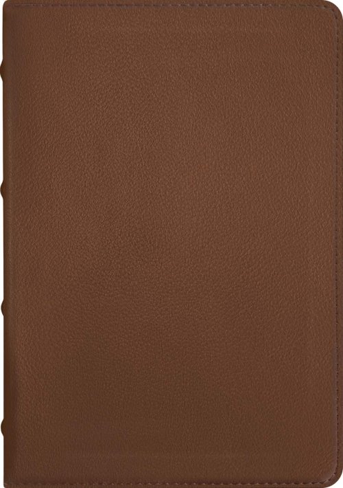 NLT Select Large Print Thinline Reference Bible, Filament Enabled (Goatskin Leather, Brown, Red Letter)