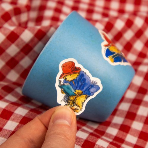 Children's Paddington Plant Growing Kit