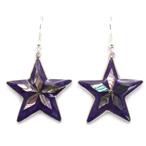 Tinto Estrella Earrings - Purple