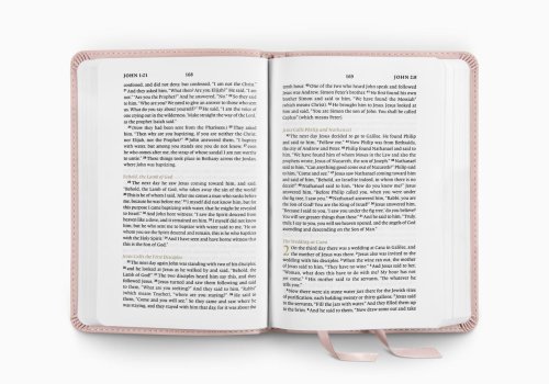 ESV New Testament with Psalms and Proverbs (TruTone, Blush Rose, Fleur-de-lis Design)