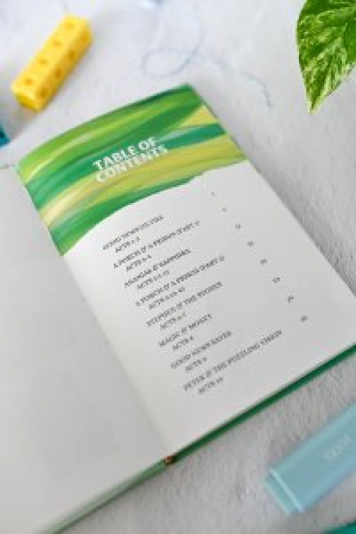 Good News: The Story of Acts (2nd Edition)