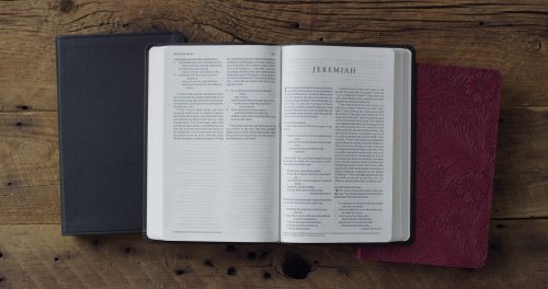 ESV Value Thinline Bible (TruTone, Raspberry, Floral Design)