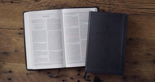 ESV Premium Church Bible, Large Print, Red Letter (TruTone, Black)