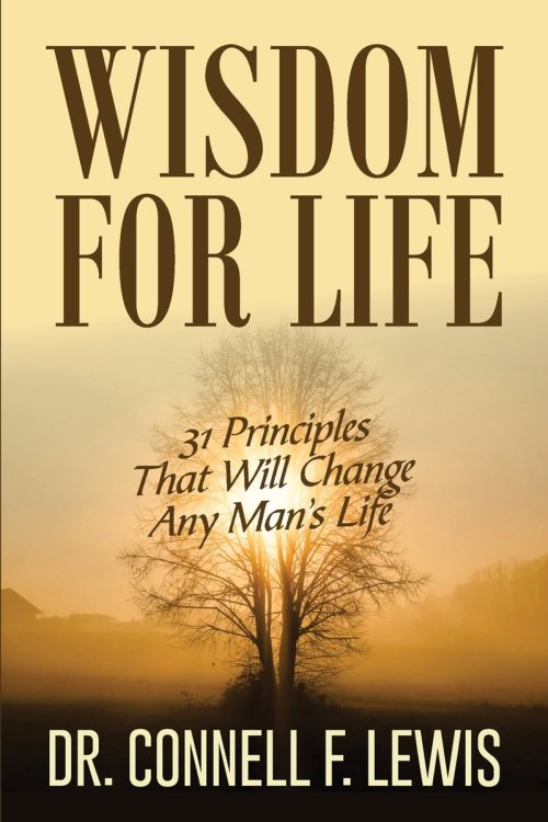 WISDOM FOR LIFE: 31 PRINCIPLES THAT WILL CHANGE ANY MAN'S LIFE