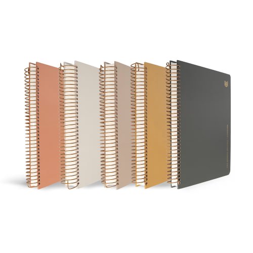 CSB She Reads Truth Spiral Bound Notetaking Bible