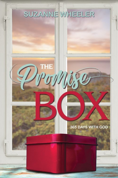 The Promise Box: 365 Days with God