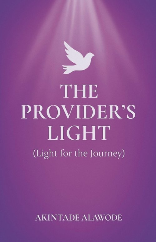 The Provider's Light