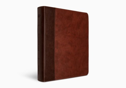 ESV Journaling Bible, Red Letter (TruTone, Brown/Tan, Timeless Design)