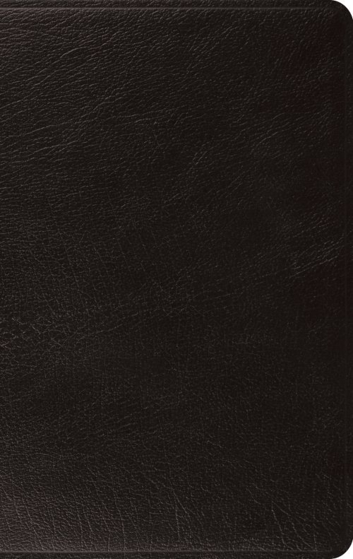 ESV Large Print Thinline Bible (Genuine Leather, Black)