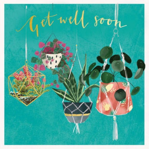 Get Well - Hanging Plants