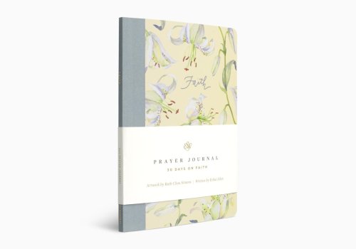 ESV Prayer Journal