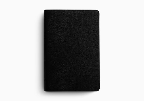 ESV Giant Print Personal Size Bible, Red Letter (Genuine Leather, Black)