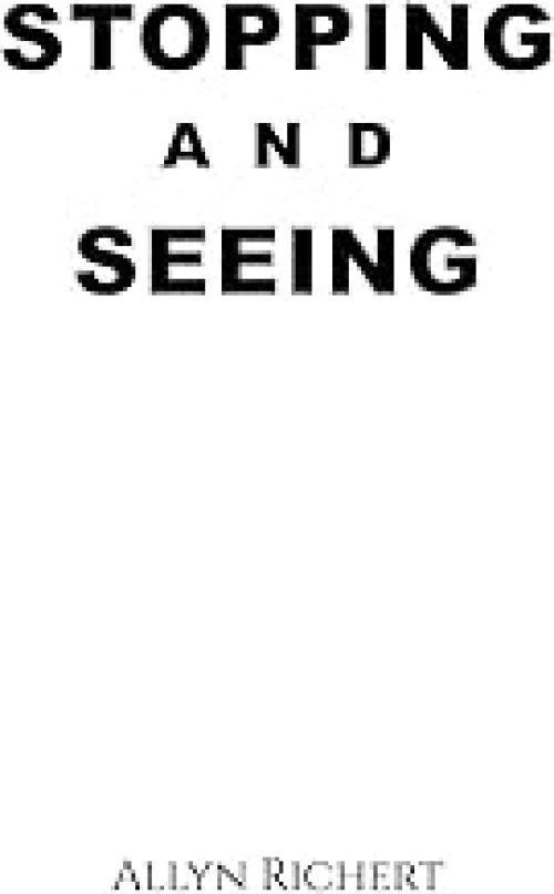 Stopping and Seeing