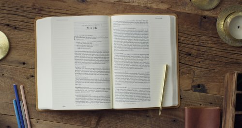 ESV Single Column Journaling Bible, Large Print (TruTone, Nubuck Caramel, Wildflower Design)