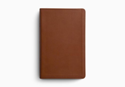 ESV Large Print Value Thinline Bible (TruTone, Camel)