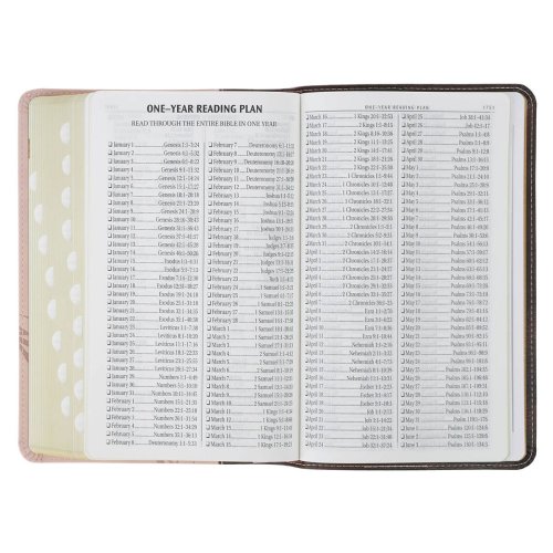 KJV Espresso and Pink Faux Leather Giant Print King James Version Bible with Thumb Index