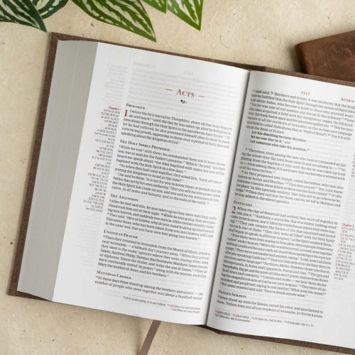 CSB Single-Column Personal Size Reference Bible, Brown Cloth Over Board